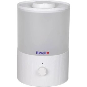 تصویر دستگاه بخور سرد برند B Well مدل Pro-10 