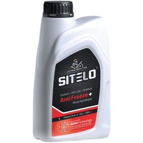 تصویر ضد یخ 100% یک لیتری سیتلو 