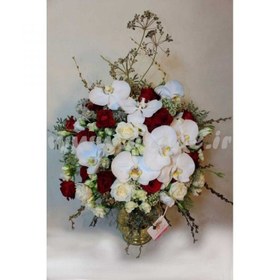 تصویر جام گل آموتیا 