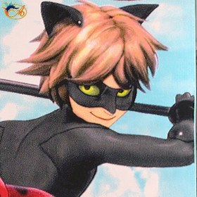 تصویر Afrand machine carpet Ladybug girl and cat boy design, code 162 