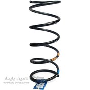 تصویر فنر لول پژو 206 تیپ 2 (TU3) جلو - رایژن پارت 