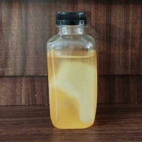 تصویر قارچ کامبوجا 