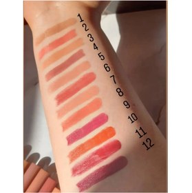 تصویر لیپ پلامپر دراگون - 7 