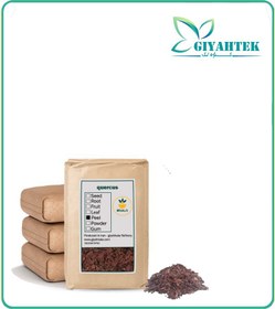 تصویر جفت بلوط خشک فله 