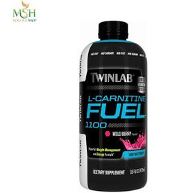 تصویر ال کارنتین فیول مایع توینلب | Twinlab L-Carnitine Fuel 1100 