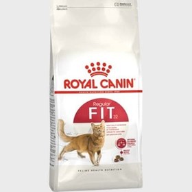 تصویر غذای خشک گربه بالغ ریگولار فیت رویال کنین (Royal Cat Canin Regular Fit 32) وزن ۴ کیلوگرم 