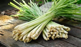 تصویر لمون گرس 