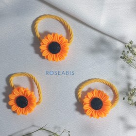 تصویر کش آفتاب گردان 