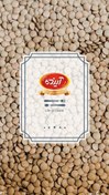 تصویر عدس ایرانی آینده ا lentil lentil