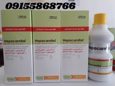 تصویر ترکیب حمایتی کبد هپاکارنیتول رویان ۱ لیتری hepacarnitol,1 lit