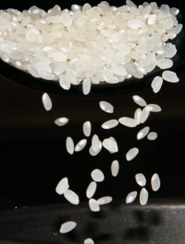 تصویر برنج سوشی Fujimori یک کیلویی 