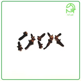 تصویر خرید میخک خشک اعلا 