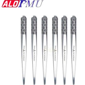 تصویر قلم فیبروز تتو نقره ای۶ عددی 