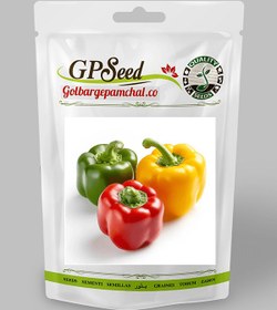 تصویر فلفل دلمه ای رنگی 