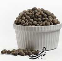 تصویر دان فلفل همیشه بهار اعلاء 