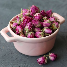 تصویر غنچه گل محمدی 