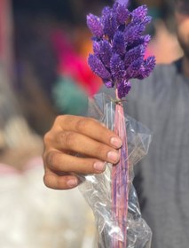 تصویر گل خشک توت فرنگی بنفش 