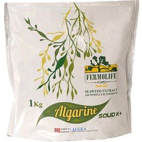 تصویر جلبک آلگرین 