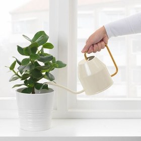 تصویر آب پاش ایکیا مدل VATTENKRASSE VATTENKRASSE watering can