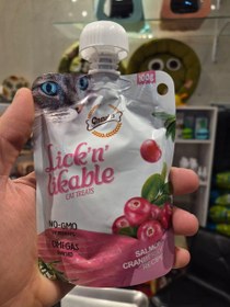 تصویر پودینگ گناولرز 