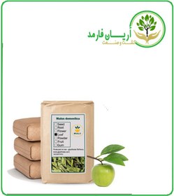 تصویر برگ درخت سیب خشک فله 