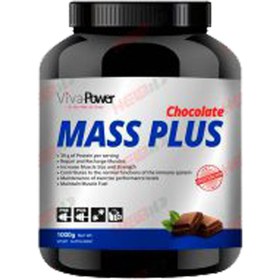 تصویر مس پلاس ویواپاور 1000 گرمی Mass Plus 1000 g