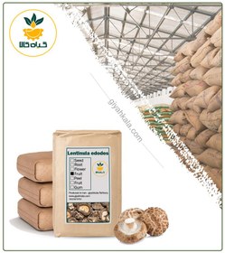 تصویر قارچ شیتاکه خشک فله 