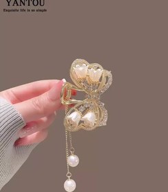 تصویر کلیپس مجلسی پاپیون 