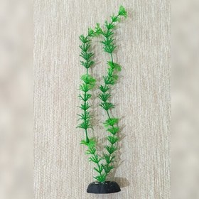 تصویر گیاه اکواریوم مصنوعی(30 سانت) کد 14 دکور آکواریوم 