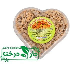 تصویر مغز تخمه آفتاب گردان خام اعلای فله ای (100 گرمی) در پاکت زیپدار 