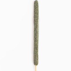 تصویر گل نرگس 