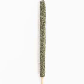 تصویر گل نرگس 