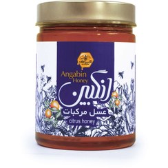 تصویر عسل ۹۰۰ گرمی مرکبات 