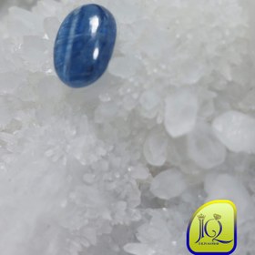 تصویر نگین کیانیت 