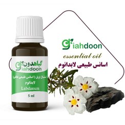 تصویر اسنشیال اویل لابدانوم 