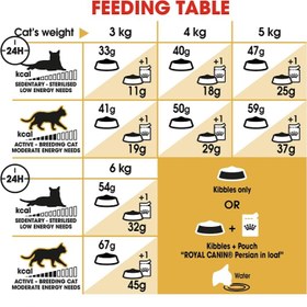 تصویر غذا خشک رویال کنین گربه پرشین ًRoyalcanin -adult persian