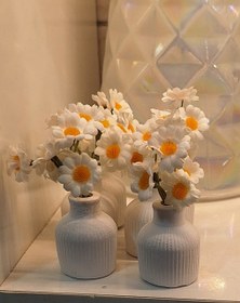 تصویر گلدان فانتزی بابونه 