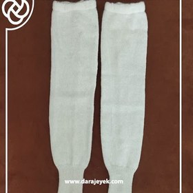 تصویر ساق بندپشمی پا جفتی 