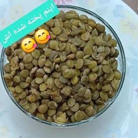 تصویر عدس تازه اردبیل 