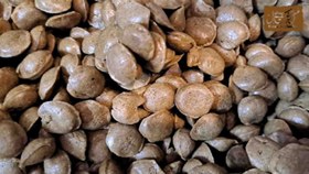 تصویر بره موم خوراکی 