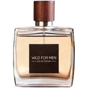 تصویر ادو پرفیوم مردانه استاویتا مدل Wild for Men حجم 100 میلی لیتر ا عطر مردانه عطر مردانه