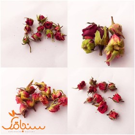 تصویر مینی پک غنچه گل رز 