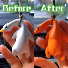 تصویر آویز اردک 