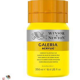 تصویر رنگ اکریلیک وینزور مدل گالریا 250میل 