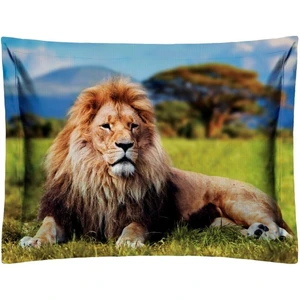 تصویر فروشگاه رنس دکور