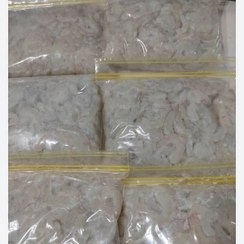 تصویر میگو تازه 