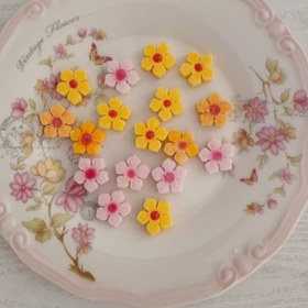 تصویر گل پنج پر 