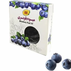 تصویر میوه بلوبری 111 