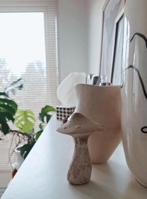 تصویر قارچ - آجری 