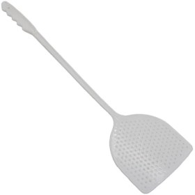 تصویر مگس کش بهار 